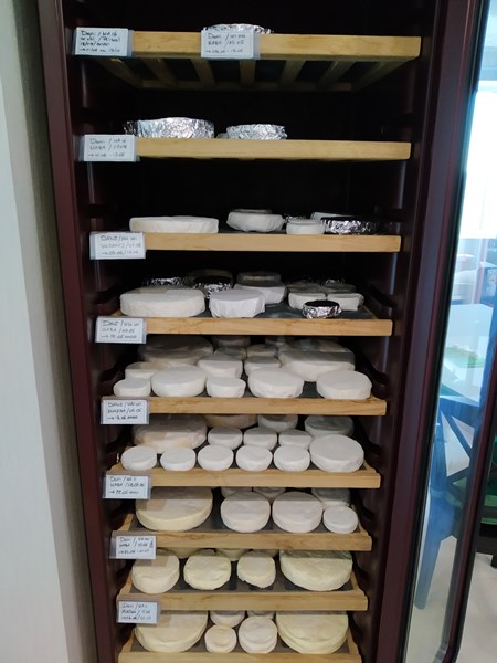 D'une casserole de 5 litres à 6 employés en 18 mois en pleine pandémie : ouverture et revente d’une fromagerie en Russie. (1/5)