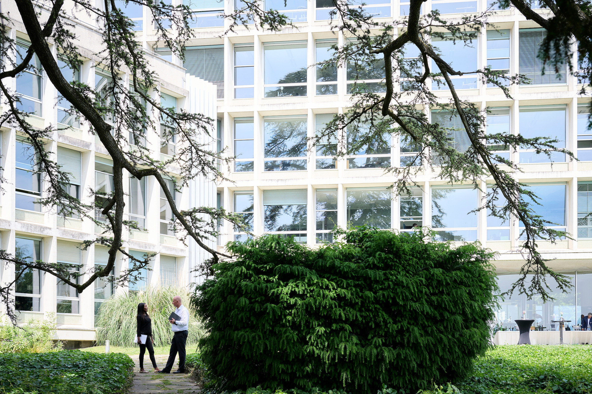 Le métier de responsable customer insight : écoute, précision et curiosité