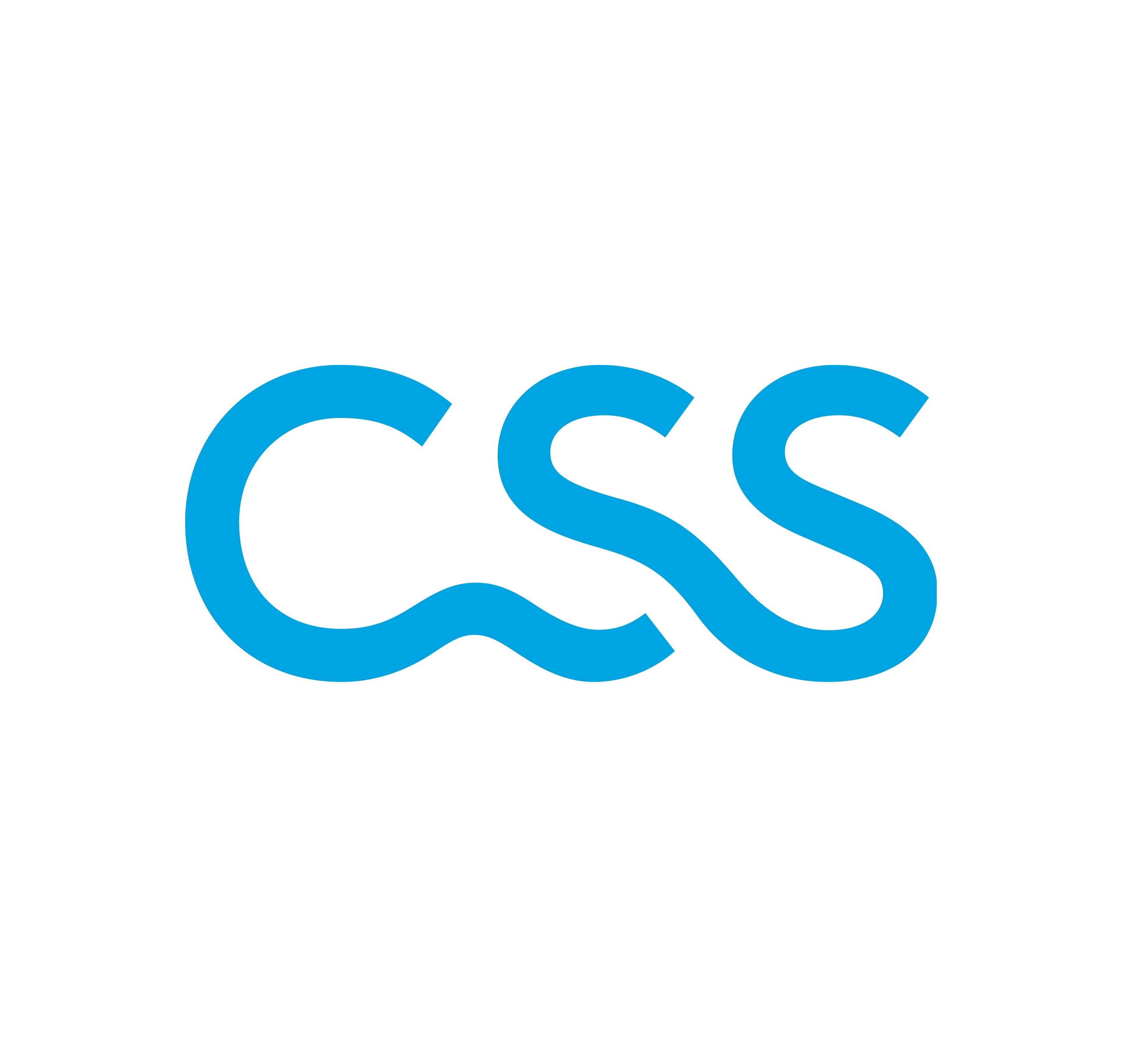 CSS